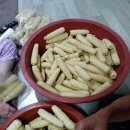 힐스템힐링센타 이미지