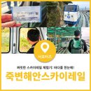 해안복지 | 울진에서 짜릿한 죽변해안스카이레일 체험 후기