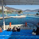 돌고래레스토랑 이미지