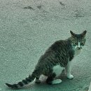 오천냥한식뷔페 | 2026 #1 (3월의 첫째주 여기저기)