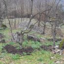 유전2리 이미지