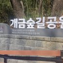 개금숲길공원 | 개금숲길공원에서 누린 소소하지만 확실한 행복