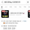 스몹고양 이미지
