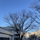 성균관대학교 삼성창원병원 종합건진 후기 &amp; 최악의 위장조영촬영😱