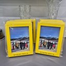 용인대 멘토 태권도장 이미지