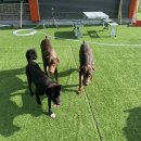 칸 트레이닝 센터 이미지