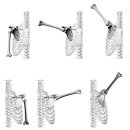 리메디PT 이미지