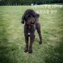 바른길동물병원 이미지