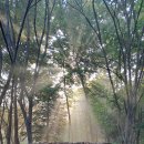 인천광역시남동구,맑은 공기와 아름다운 숲길이있는 인천대공원과 중구,연안부두여객터미널및 해양광장현지사진올리기. 이미지