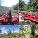 미소농장(생산종류: 고양이) | &lt;발리 우붓 일일투어&gt; ATV&amp;아융강래프팅&amp;뜨갈랄랑 정글스윙 체험 내돈내산