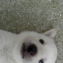 자연인PC방 이미지