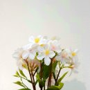 글라스 스토리(동백점) 이미지