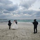 제주투어리스트