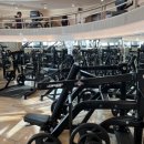 디오션피트니스 이미지