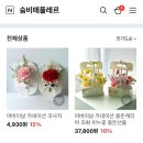 숨비떼플레르
