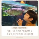 시립갈매아이파크어린이집 | 서울 근교 아이와 가볼만한 곳-수풀림 아쿠아카페 구리갈매