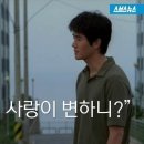 천개의언어