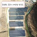 태양유통주