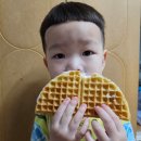 코끼리가반한핫도그엔와플
