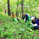 영양문화원 이미지