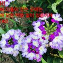 (주)선한농장