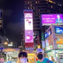 IGS KOREA 네이버블로그