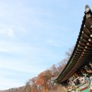 41. 한국의 기도 도량 / 성륜산 용덕사 이미지