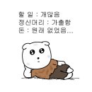 조은월드트래블 | 2025 제베원 월드투어 ③ 고능한 남미새가 되어 떠난 싱가포르 2박 4일