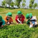 해나라어린이집 이미지