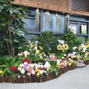 흥선동주민센터(행정복지센터) 이미지