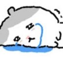앤디프로젝트