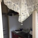 마루민박 이미지