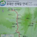 DREAM산악회-10월(54차)정기산행 안내 (강원 오대산 선재길) 이미지