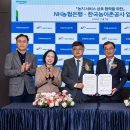 농협은행 앞 이미지