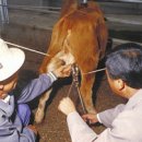 현태농장 이미지