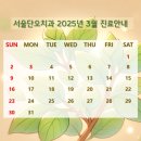 서울단오치과의원 네이버블로그