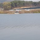 삼사낚시터 이미지