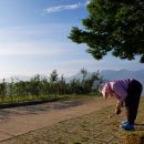 쑥티마을 이미지