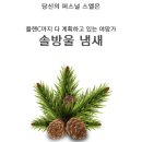 다보김치찜 이미지