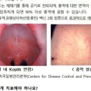 청산파크 이미지