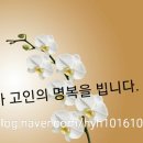 배방읍 곡교천로 네이버블로그