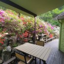 숲속그린펜션 이미지