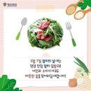 월참치