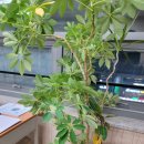 주식회사 노은 이미지