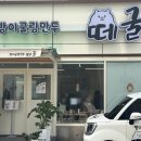 방이굴림만두 떼굴 이미지