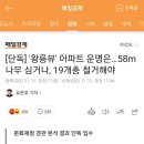 [단독] 왕릉뷰 아파트, 58m 수목 심으면 철거 안해도 됨 이미지