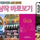 대전오월드 이미지