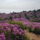 보성닭집 - 보성군 | 보성닭집