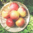 다도박물관 이미지