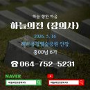 하늘숲의전